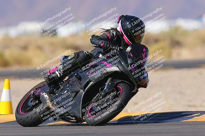 media/Nov-11-2023-SoCal Trackdays (Sat) [[efd63766ff]]/Turn 16 (11am)/